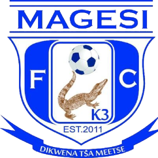 https://img.pinyikeji.com/img/football/team/dc1df1e4722068b08e2fcddeeab4e7af.png